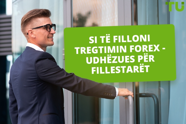 Si të Filloni Tregtimin e Forex - Udhëzues për Fillestarët