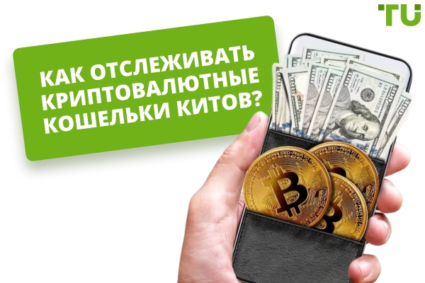 Как отслеживать криптокошельки китов: способы, инструменты, инструкция