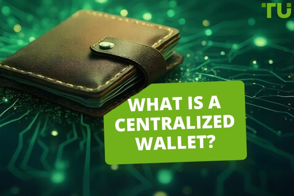 What Is A Centralized Crypto Wallet? Should You Get One