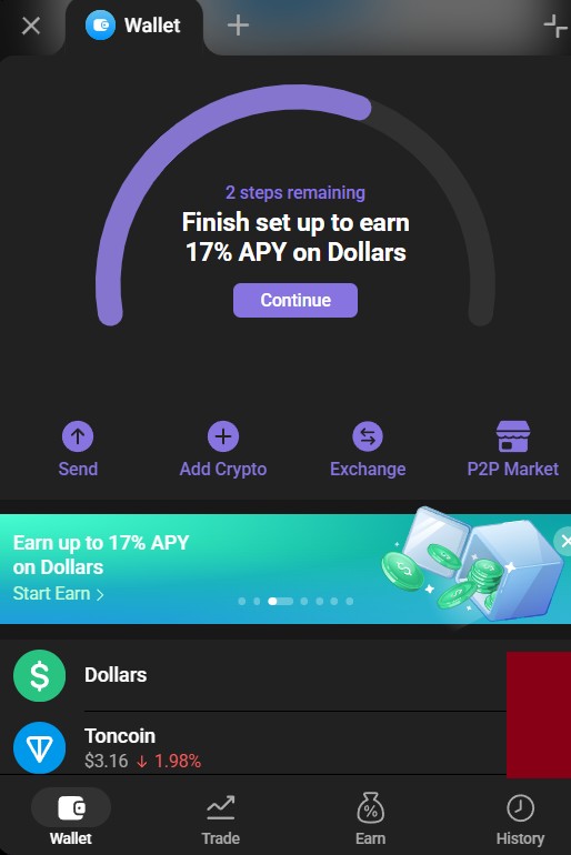 Интерфейс криптокошелька Telegram Wallet
