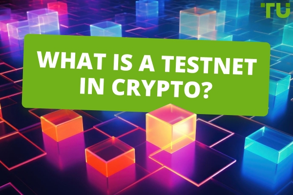 What Is A Testnet In Crypto? Detailed Guide