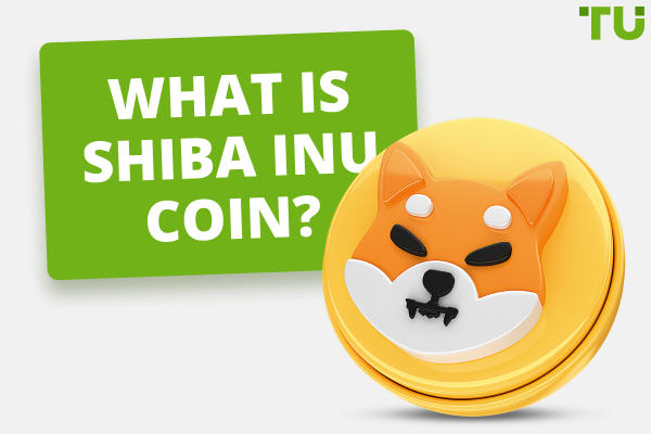 Is Shiba Inu coin worth buying?, Can I convert Shiba Inu to cash?
