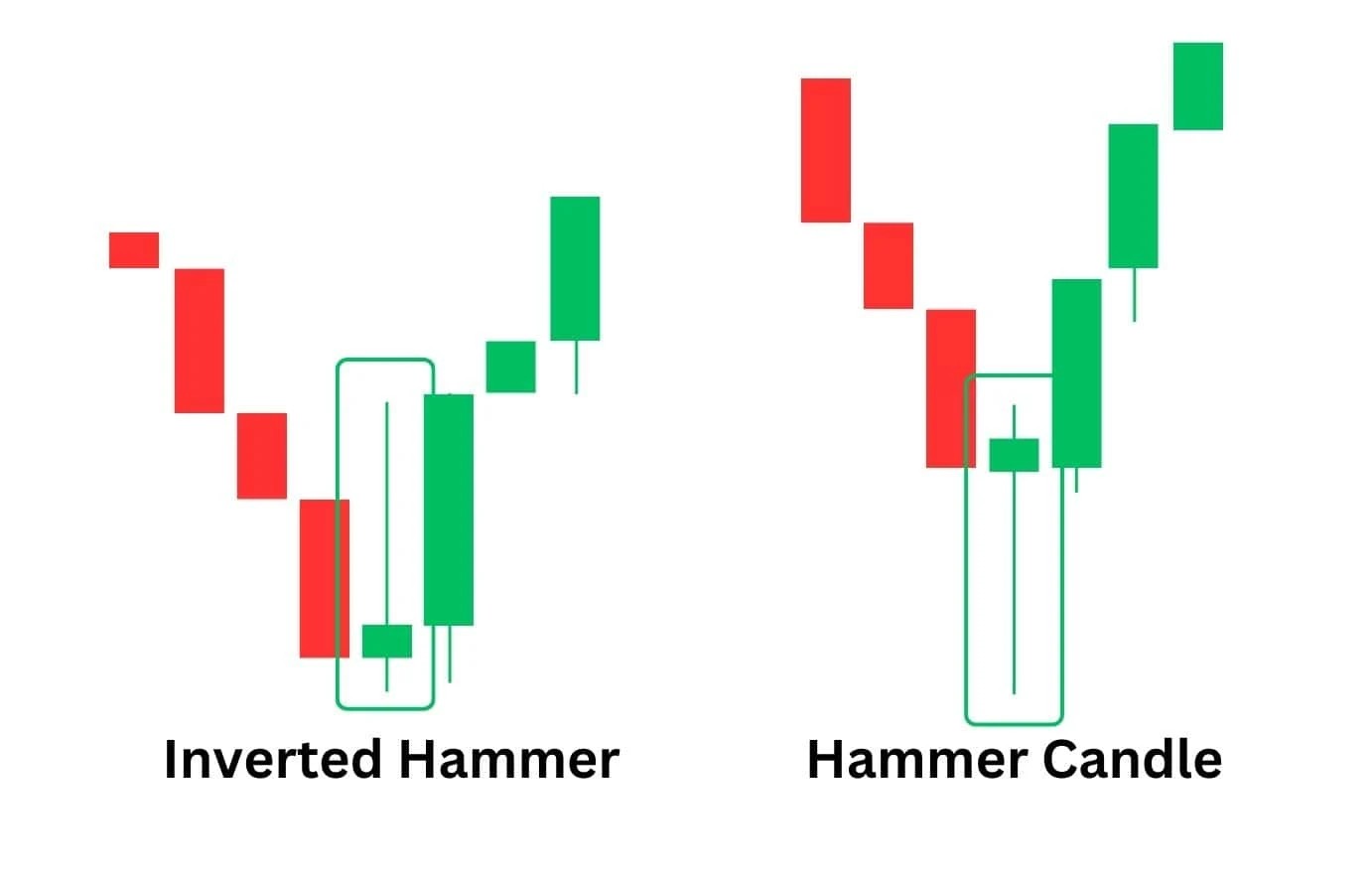 Hammer والمطرقة المقلوبة