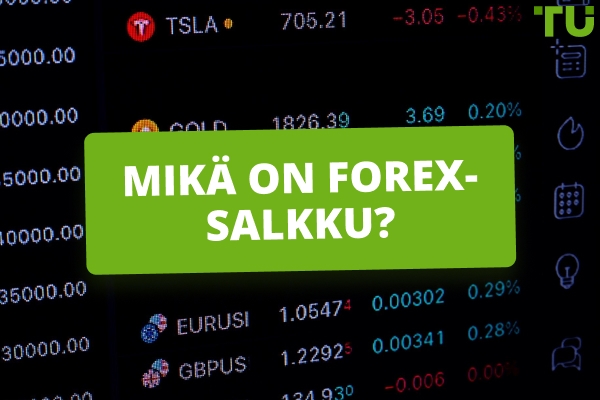 Kuinka teen Forex-portfolion?
