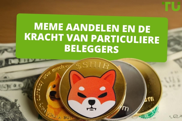 Meme-aandelen uitgelegd. Hoe particuliere beleggers Wall Street ontwrichten