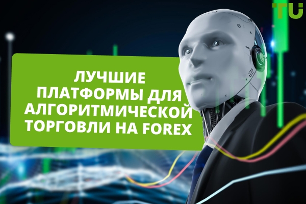 Лучшее программное обеспечение для алгоритмической торговли Forex в 2026 году