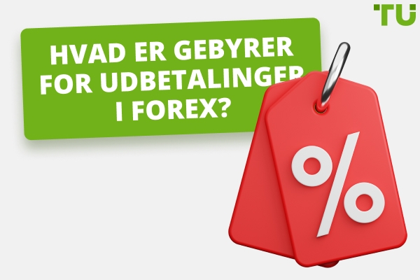 Top Forex mæglere uden gebyrer for udbetaling