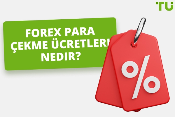 Para Çekme Ücreti Olmayan En İyi Forex Brokerları
