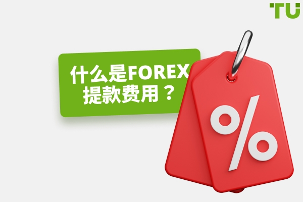 无取款费用的顶级Forex经纪商