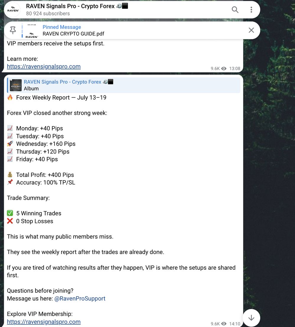 RAVEN Signals Pro Crypto Forex