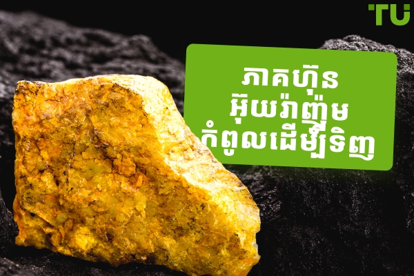 ភាគហ៊ុនអ៊ុយរ៉ាញ៉ូមកំពូលដែលត្រូវទិញនៅឆ្នាំ 2026