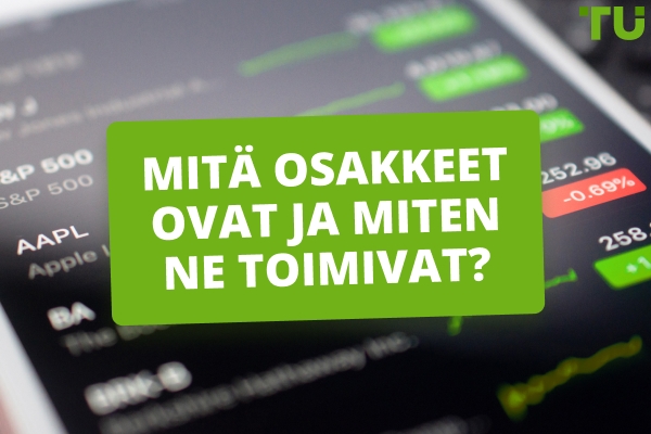 Mitä ovat osakkeet? Miten ne toimivat?