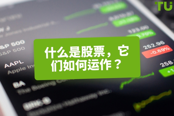 什么是股票？它们是如何运作的？