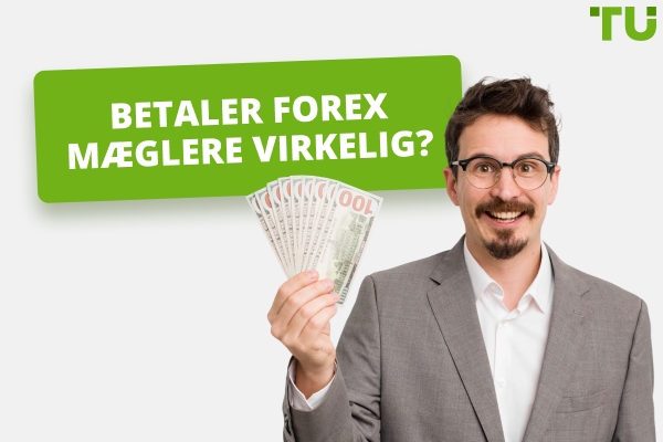 Betaler Forex mæglere virkelig? Traders Union’s forskning