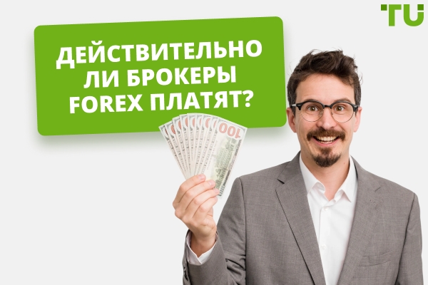 Действительно ли брокеры Forex платят? Исследование Traders Union