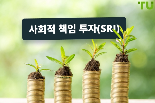 사회적 책임 투자 (SRI): 정의, 작동 방식