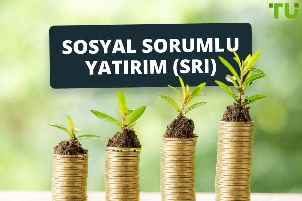 Sosyal Sorumluluk Sahibi Yatırım (SRI): Tanımı, Nasıl Çalışır