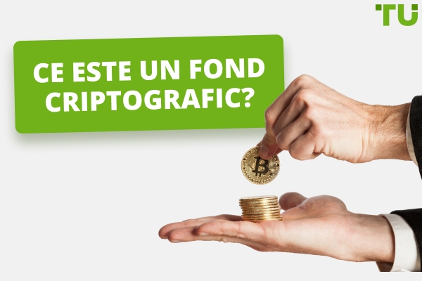 Înțelegerea trusturilor cripto: Analiză detaliată