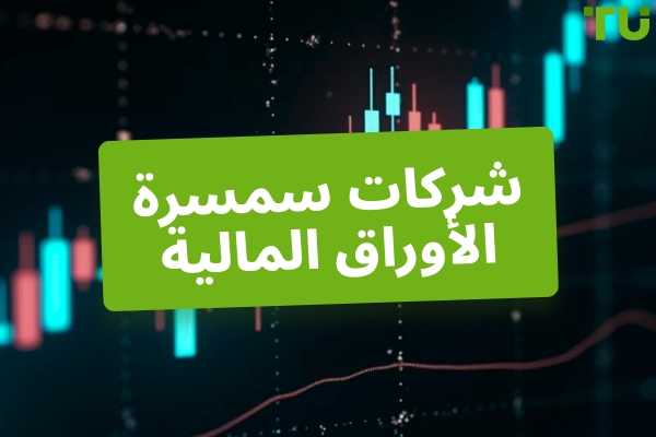 وسطاء الأسهم عبر الإنترنت 2026
