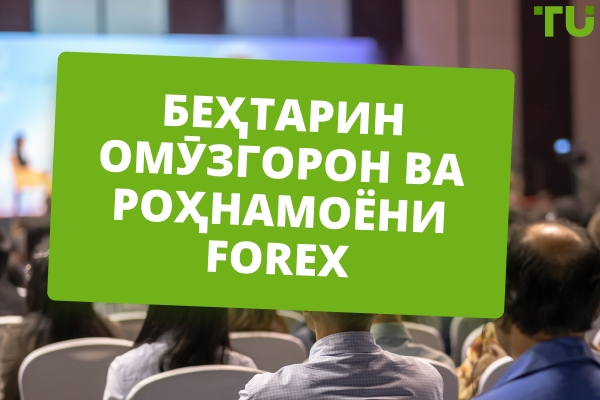 10 омӯзгори беҳтарини Forex ва менторҳо барои соли 2026