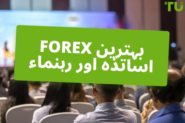 2026 کے سرفہرست 10 Forex اساتذہ اور رہنما