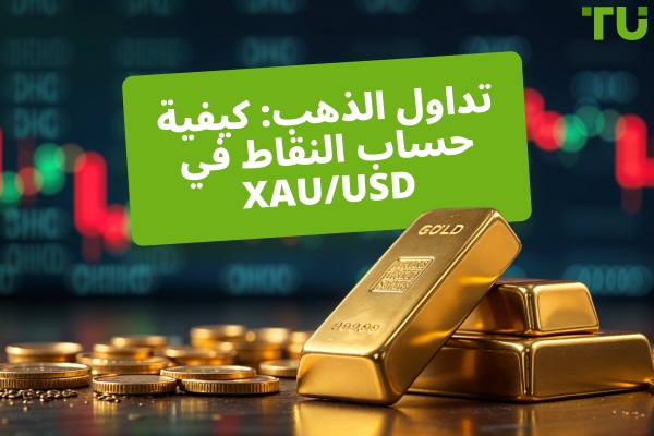تداول Gold: كيفية حساب النقاط في XAU/USD