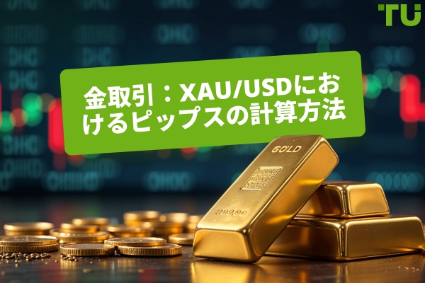 金取引：XAU/USDのピップの計算方法