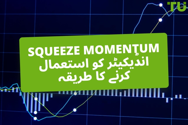 آپ Squeeze Momentum انڈیکیٹر کا استعمال کرتے ہوئے کس طرح تجارت کرتے ہیں؟