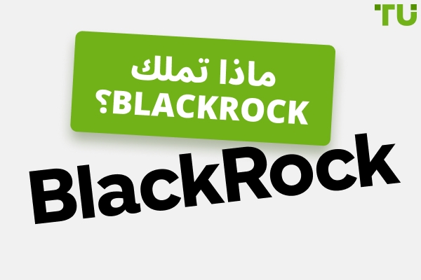 ماذا تملك Blackrock | تاريخ من النمو