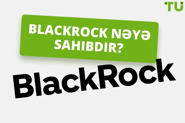 Blackrock nəyə sahibdir | İnkişaf tarixi