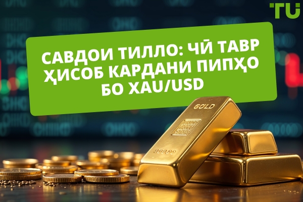 Савдои Gold: Чӣ гуна ҳисоб кардани пипҳо дар XAU/USD