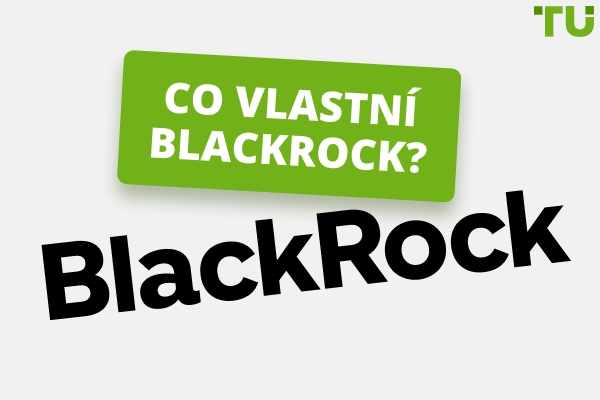 Co vlastní Blackrock | Historie růstu