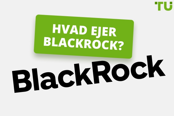 Hvad ejer Blackrock | En historie om vækst