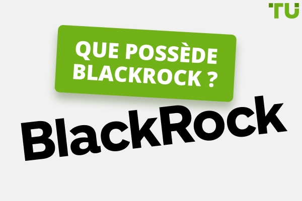 Que possède Blackrock&nbsp;| Une histoire de croissance