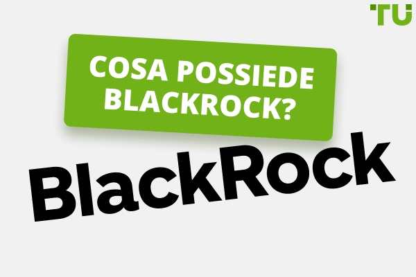 Cosa possiede Blackrock | Una storia di crescita
