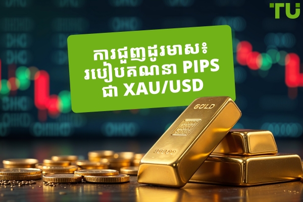 ការជួញដូរមាស៖ របៀបគណនា Pips ជា XAU/USD