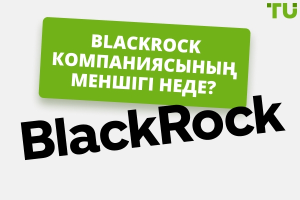 Blackrock неге иелік етеді | Өсу тарихы