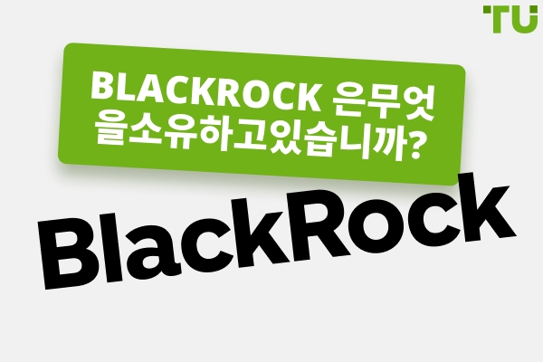 블랙록이 소유한 것들 | 성장의 역사