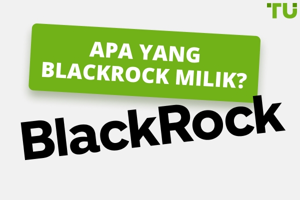 Apa yang Dimiliki Blackrock | Sejarah Pertumbuhan