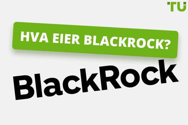 Hva eier Blackrock | En veksthistorie