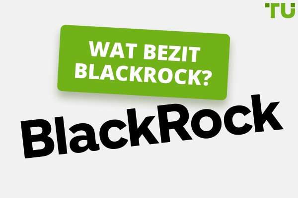Wat bezit Blackrock | Een geschiedenis van groei