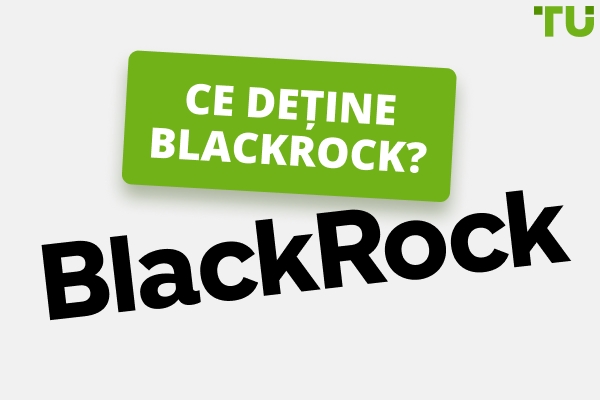 Ce deține Blackrock | O istorie a creșterii