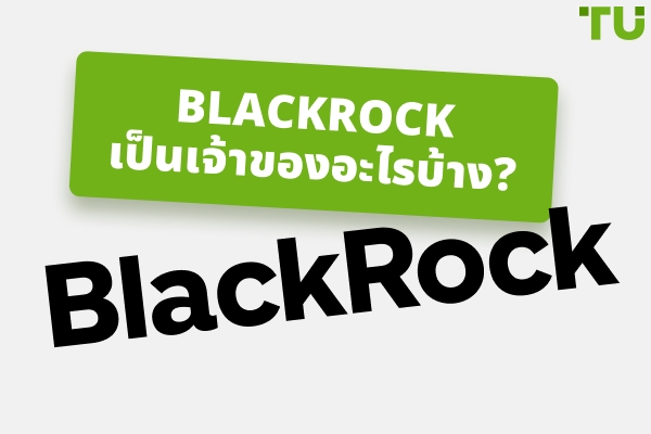Blackrock เป็นเจ้าของอะไร | ประวัติแห่งการเติบโต