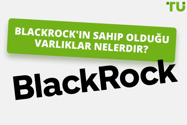 Blackrock Ne Sahiptir | Büyüme Tarihi
