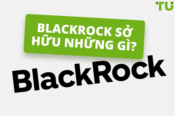 Blackrock sở hữu gì | Lịch sử phát triển