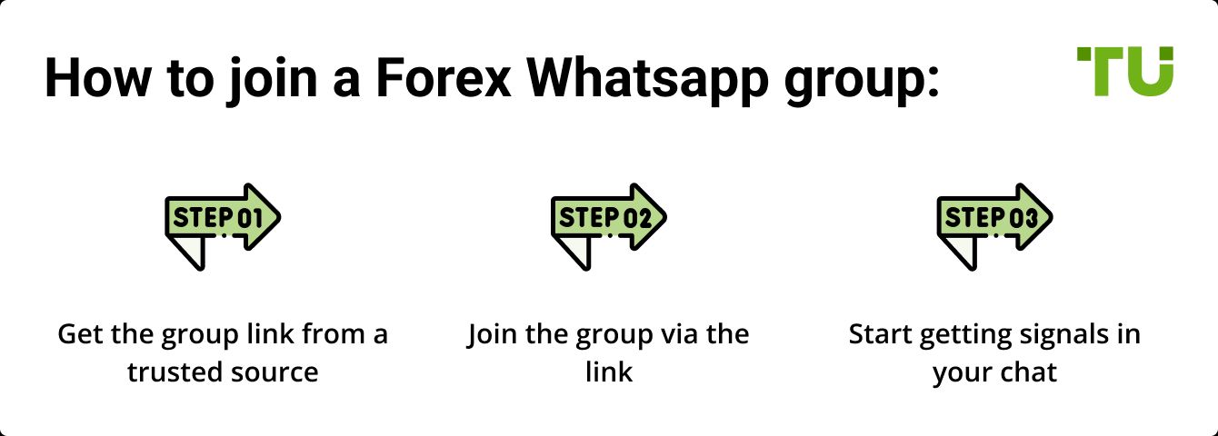 How to join a Forex Whatsapp group:
