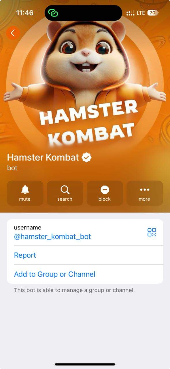 Hamster Kombat бот