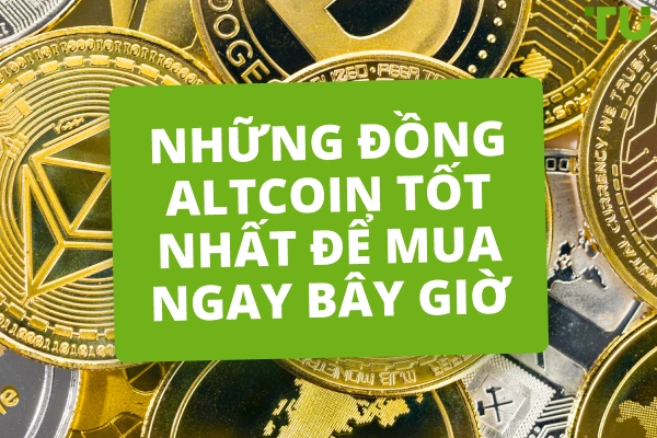 15 đồng altcoin tốt nhất để mua ngay - Traders Union