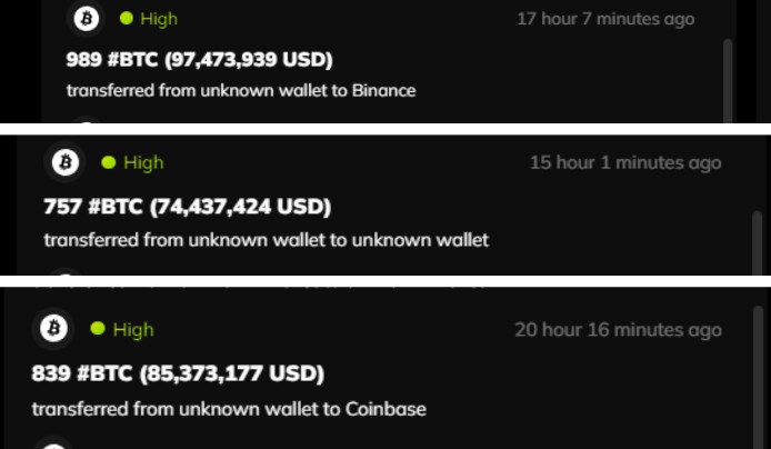 Contoh peringatan whale waktu nyata di MTracer