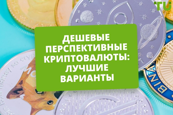 Какие дешевые криптовалюты могут показать рост в 2026 году